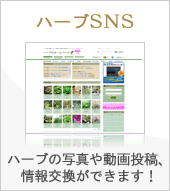 ハーブ図鑑 70種類以上のハーブを紹介 ハーブのホームページ ハーブ図鑑 70種類以上のハーブを紹介 ハーブのホームページ