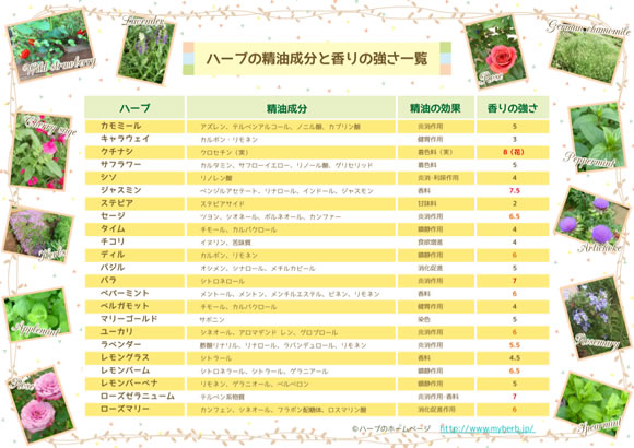 ハーブ精油 香りの強さ一覧