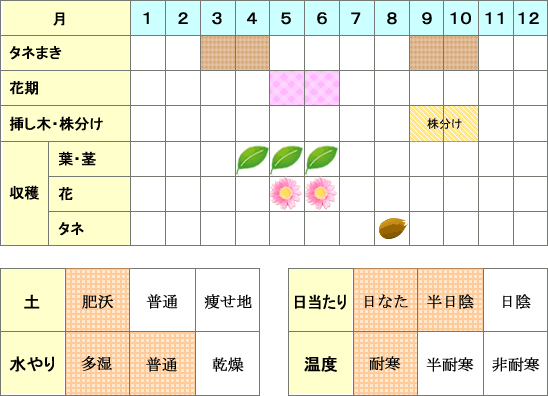 アーティチョーク年間表