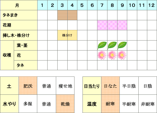 アルカネット年間表