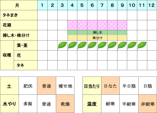 アロエ_年間表