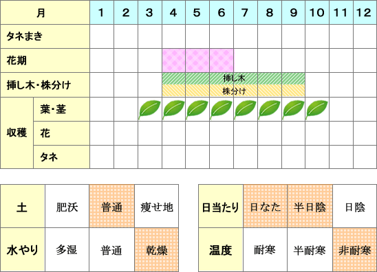 アロマティカス_年間表