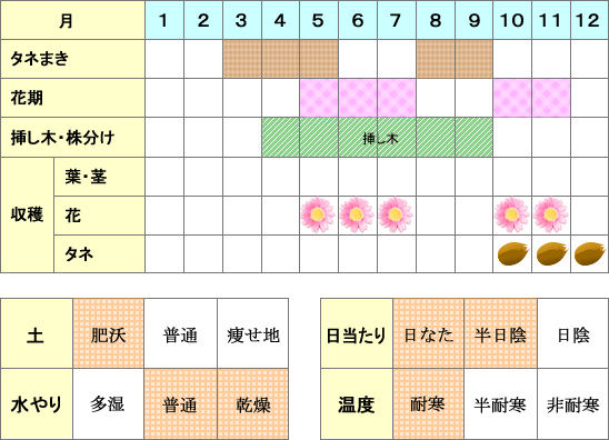 ローズ年間表