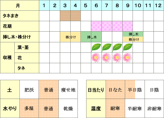 ベルガモット年間表