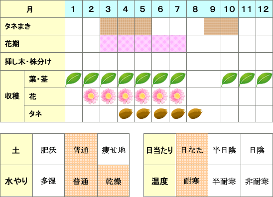 ボリジ年間表