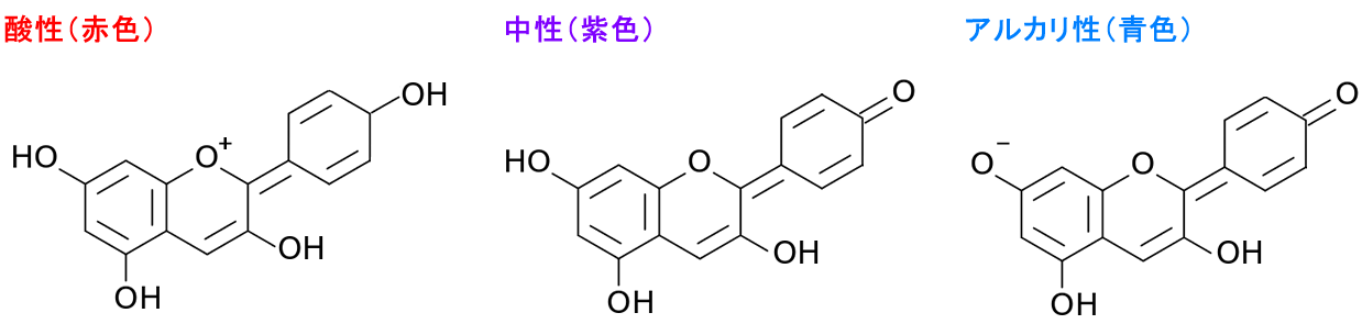 アントシアニンの分子構造の変化