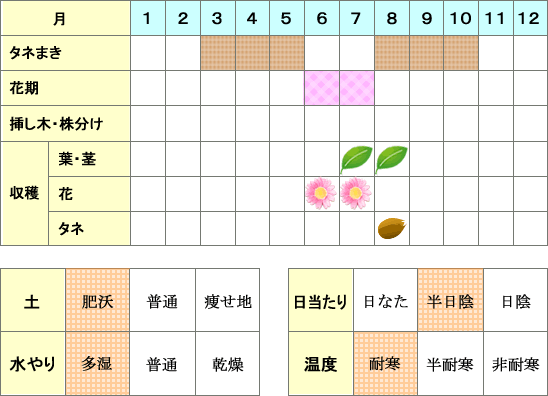 キャットニップ年間表