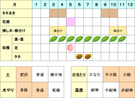 チャイブ年間表