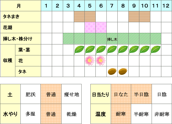 エルダー年間表