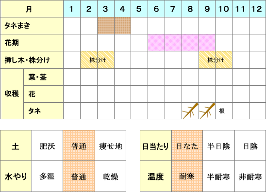 エリキャンペーン年間表