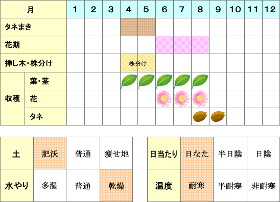 フェンネル年間表