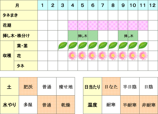 センテッドゼラニウム年間表