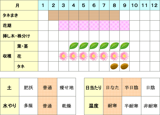 ハーツイーズ年間表