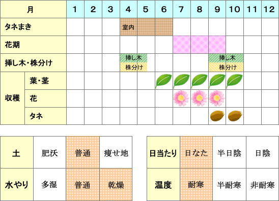 ヒソップ年間表