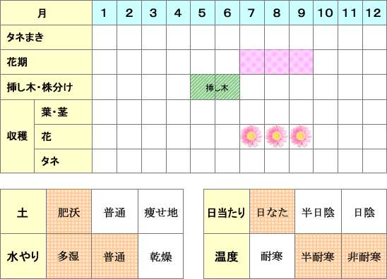 ジャスミン年間表