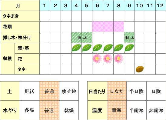 カレープラント年間表