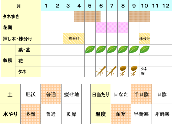 コンフリー年間表