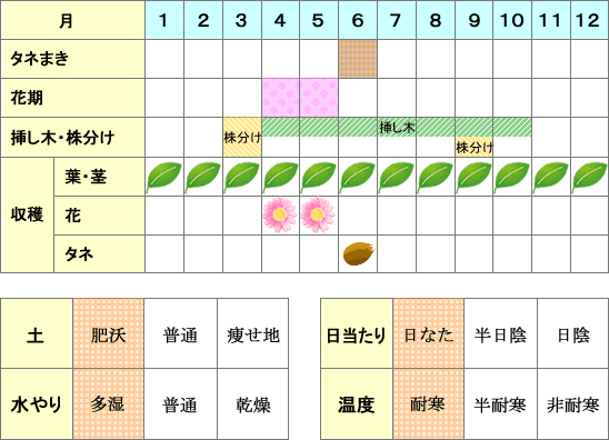 クレソン_年間表