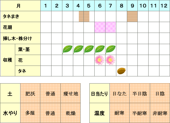 キャラウェイ年間表