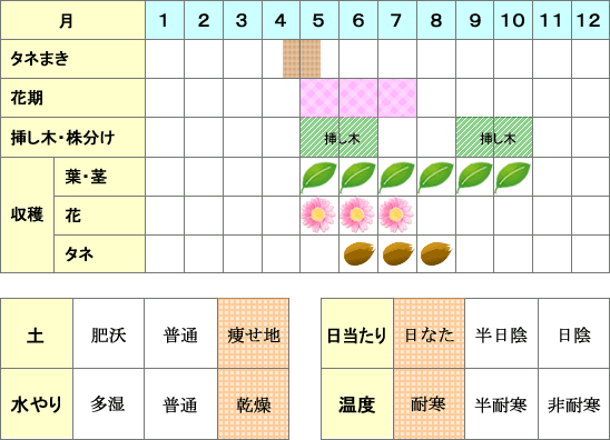 ラベンダー年間表