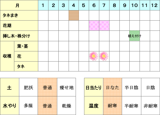 リンデン年間表