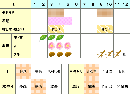 タンデライオン年間表