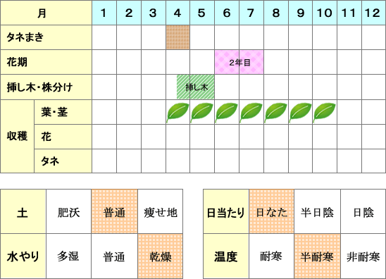 ルー年間表