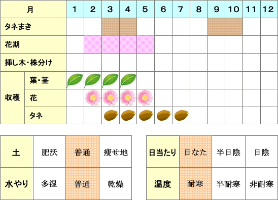 ポットマリーゴールド_年間表