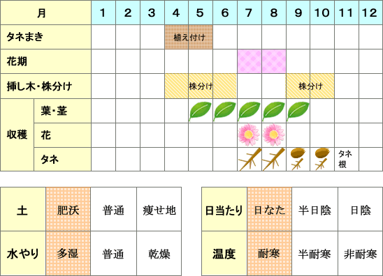 マシュマロウ年間表