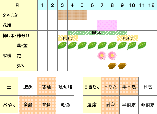 ミント年間表