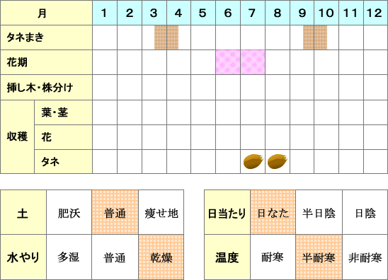 ニゲラ年間表