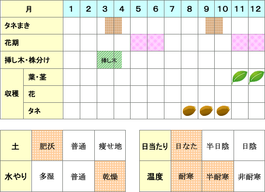 オリーブ年間表