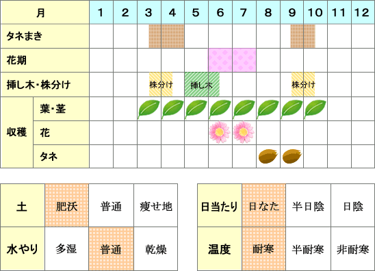 オレガノ_年間表