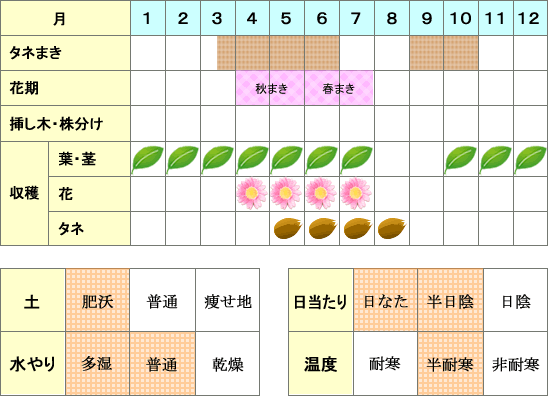 ロケット年間表