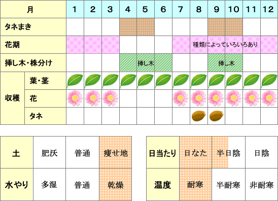 ローズマリー年間表