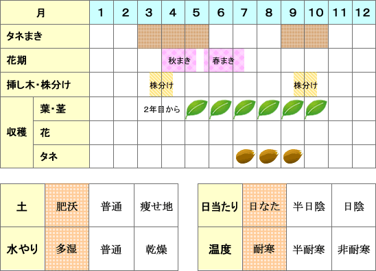 ルバーブ年間表