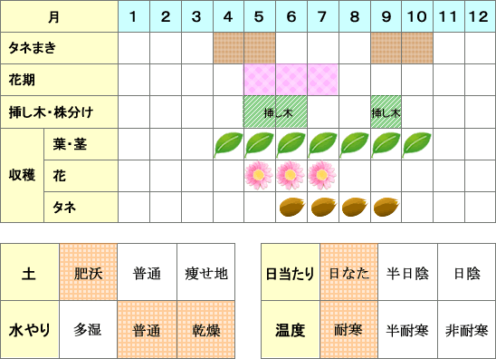 セージ年間表