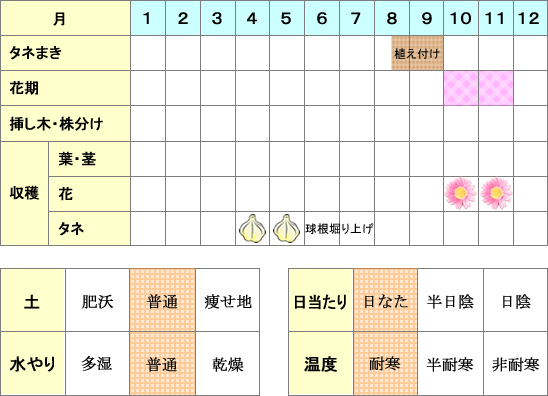 サフラン年間表