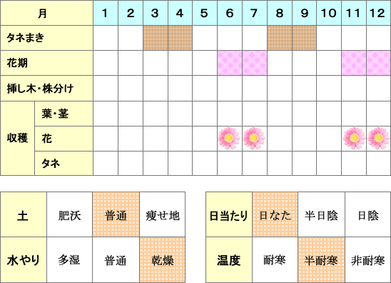 サフラワー年間表