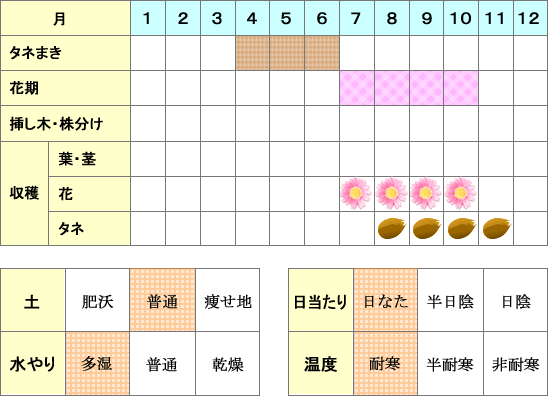 サンフラワー年間表