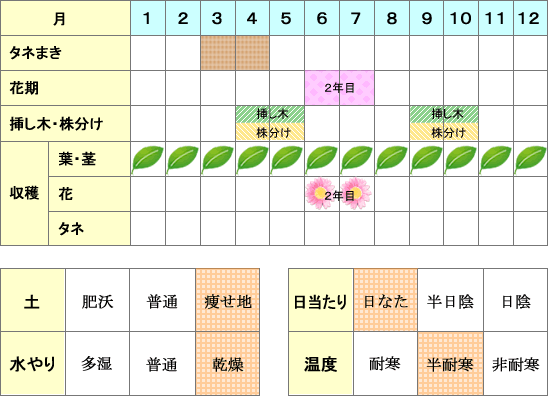 サントリナ年間表