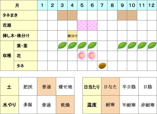 サラダバーネット年間表