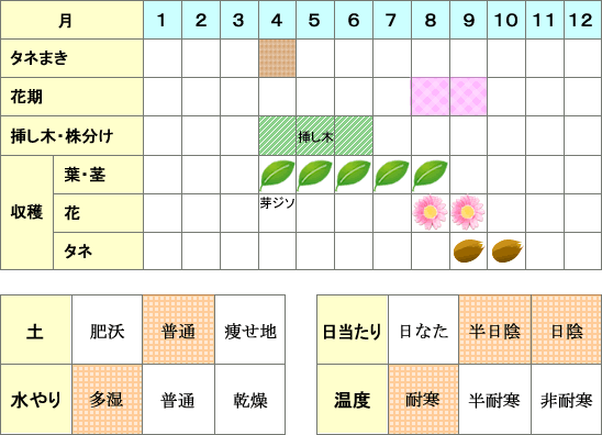 シソ年間表