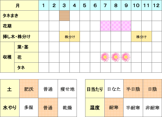 ソープワート年間表