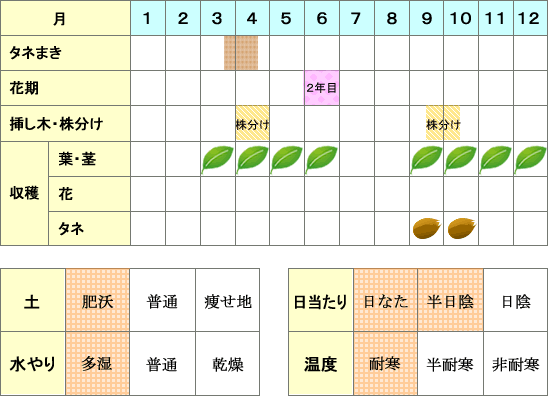 ソレル年間表