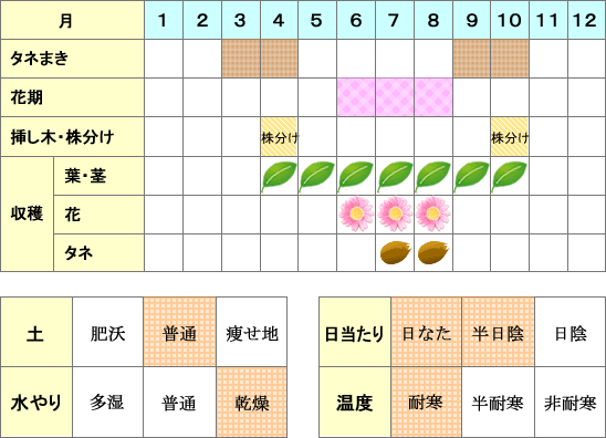 セントジョーンズワート年間表