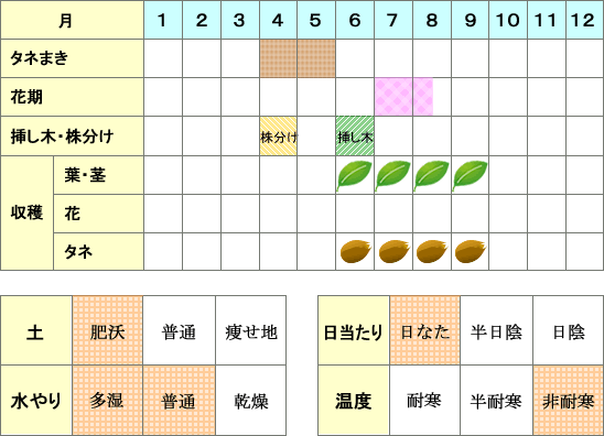 ステビア年間表