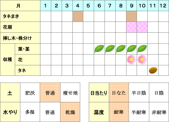 タンジー年間表