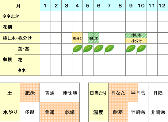 タラゴン年間表