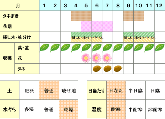 タイム年間表